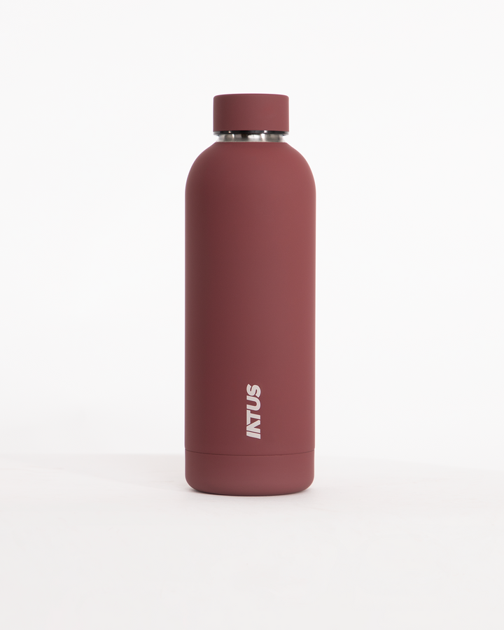 Thermo Insulated Water Bottle 550ml | Coco